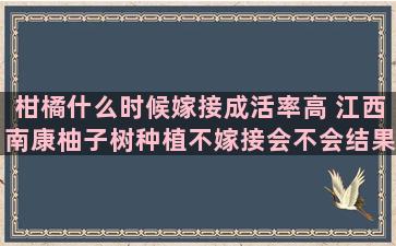 柑橘什么时候嫁接成活率高 江西南康柚子树种植不嫁接会不会结果